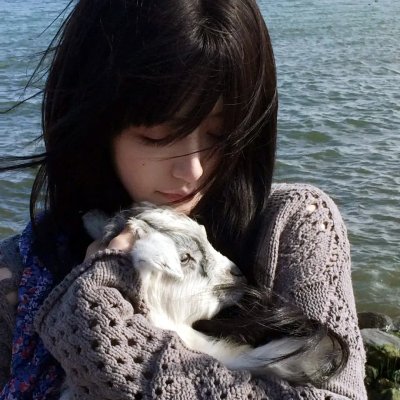 屋顶上的绿宝石